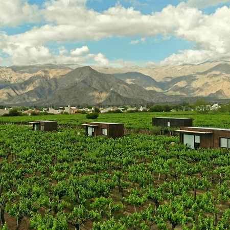 El Porvenir Wine Lodge Cafayate Luaran gambar