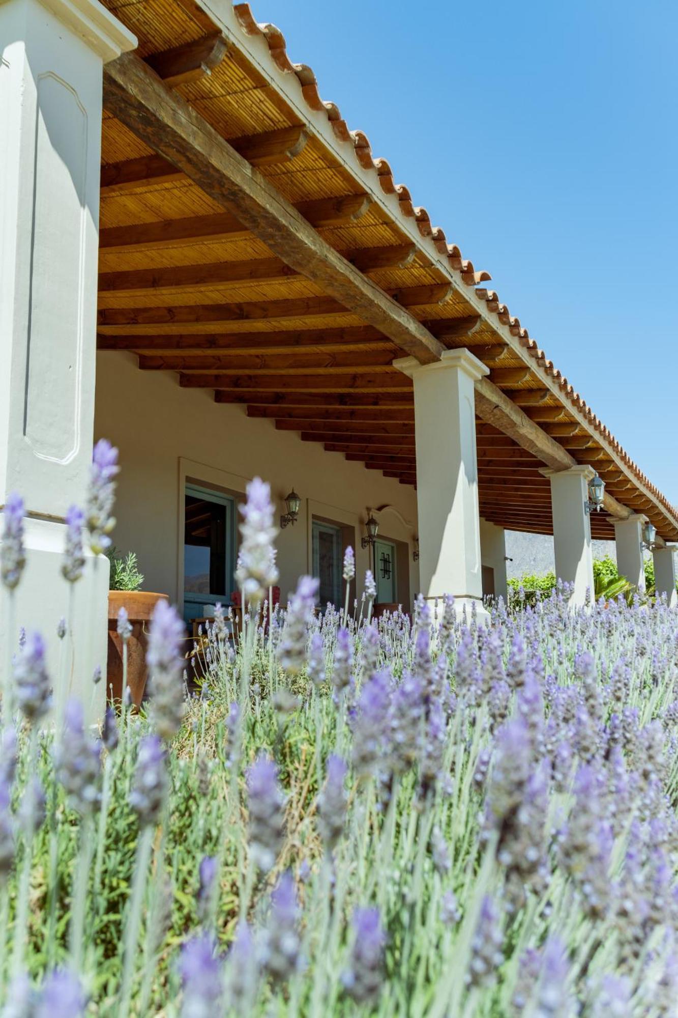 El Porvenir Wine Lodge Cafayate Luaran gambar
