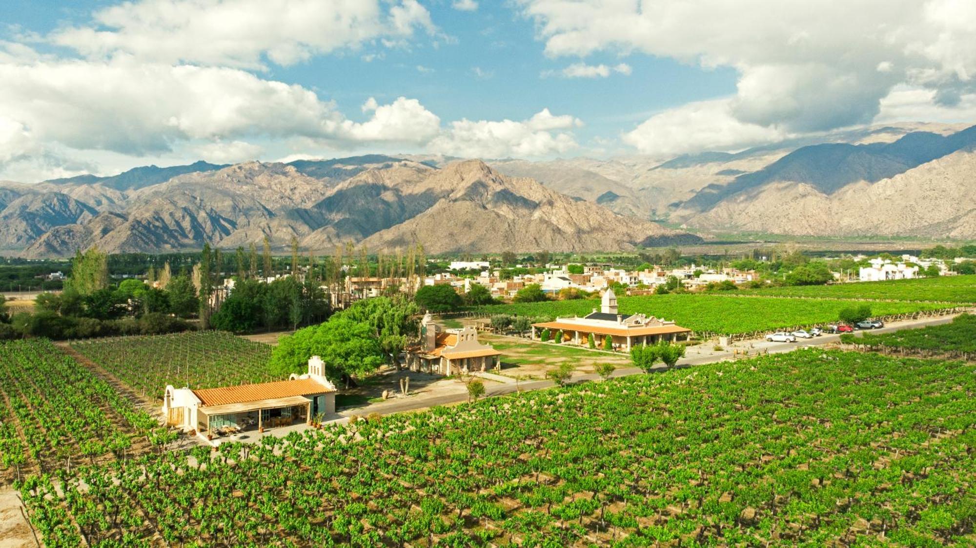 El Porvenir Wine Lodge Cafayate Luaran gambar