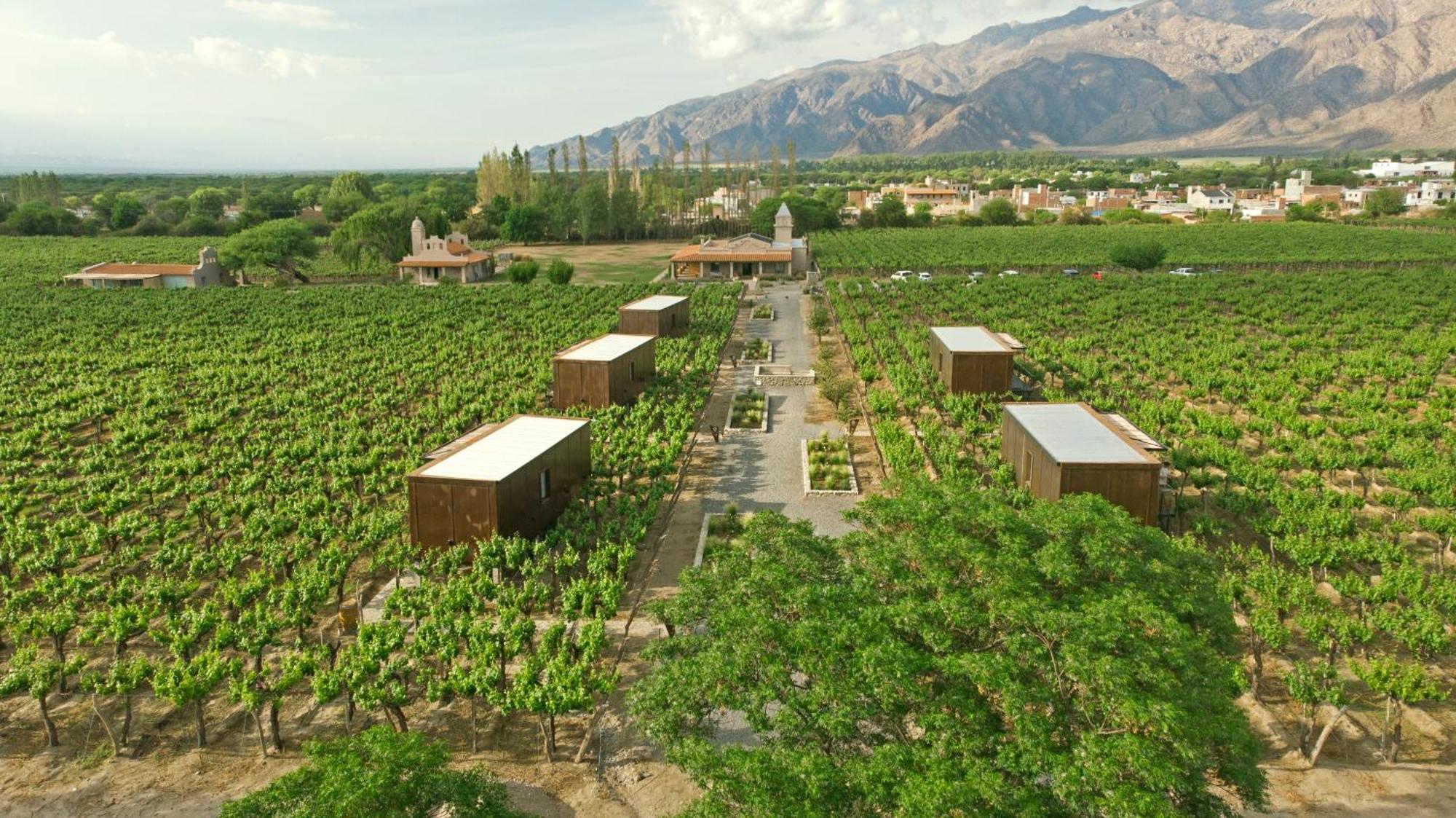 El Porvenir Wine Lodge Cafayate Luaran gambar