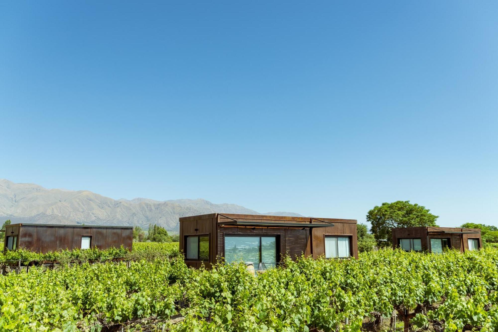 El Porvenir Wine Lodge Cafayate Luaran gambar