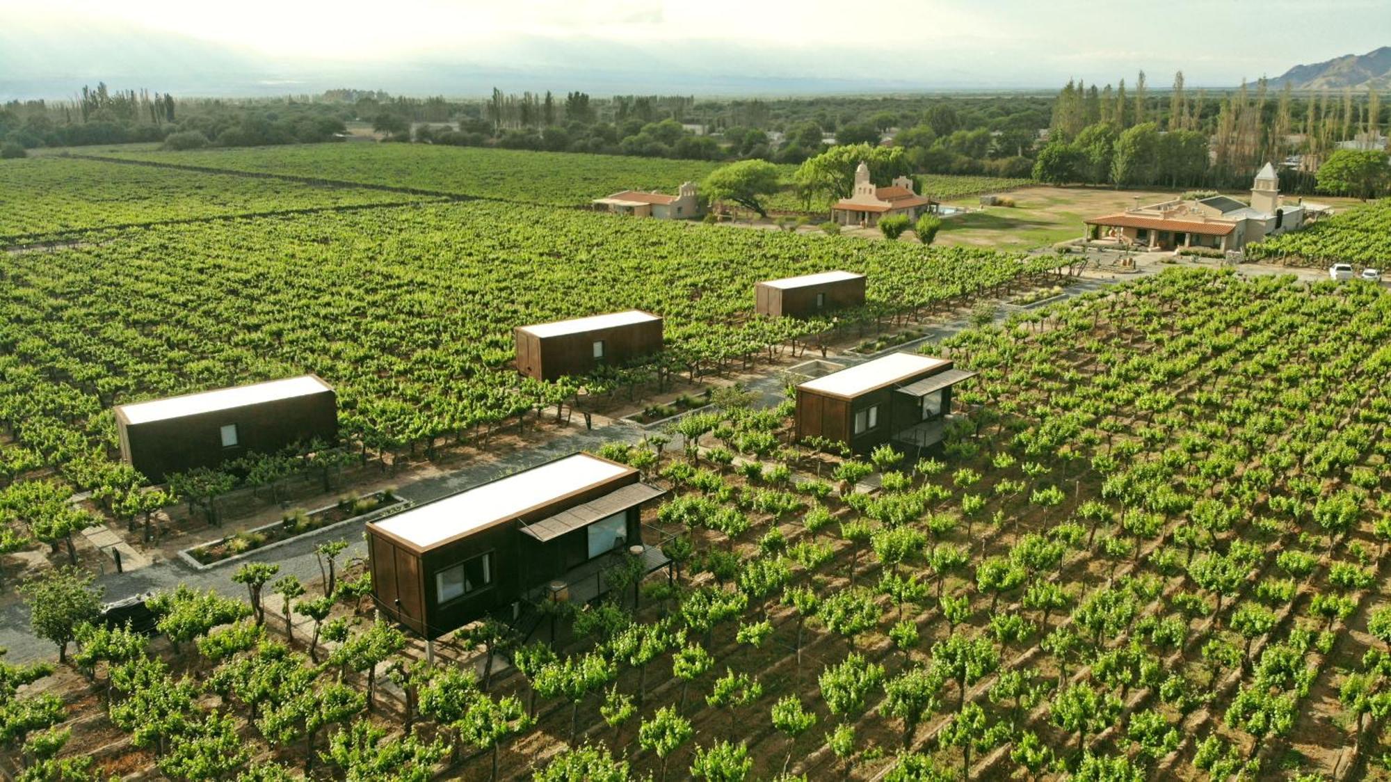 El Porvenir Wine Lodge Cafayate Luaran gambar