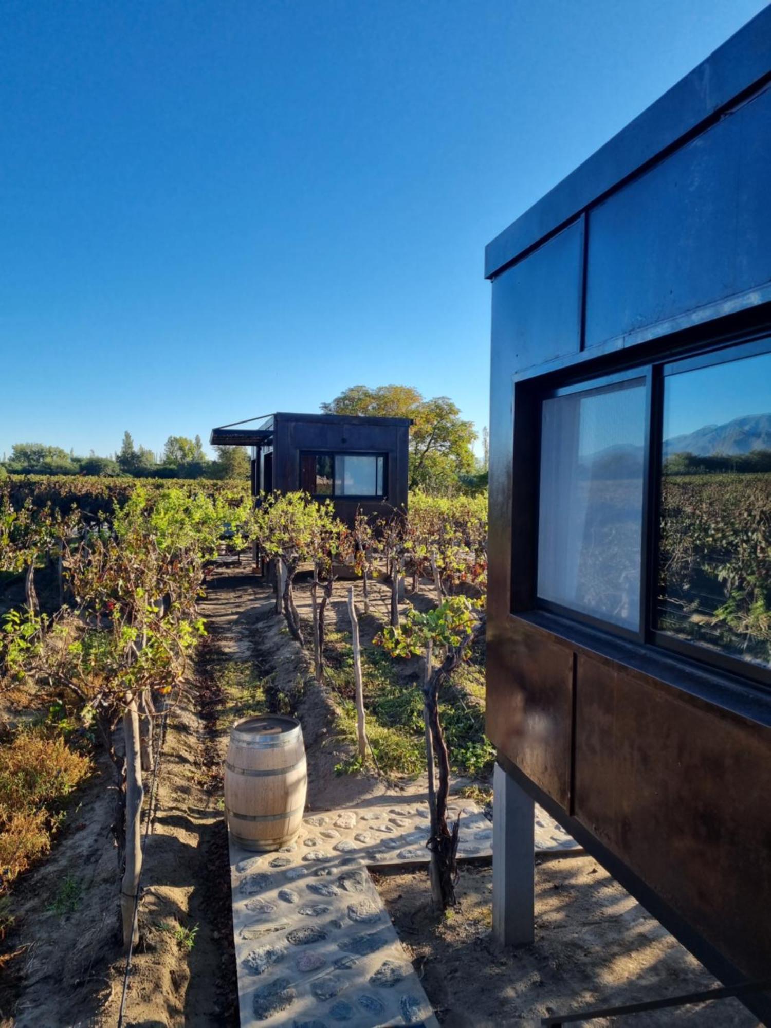 El Porvenir Wine Lodge Cafayate Luaran gambar